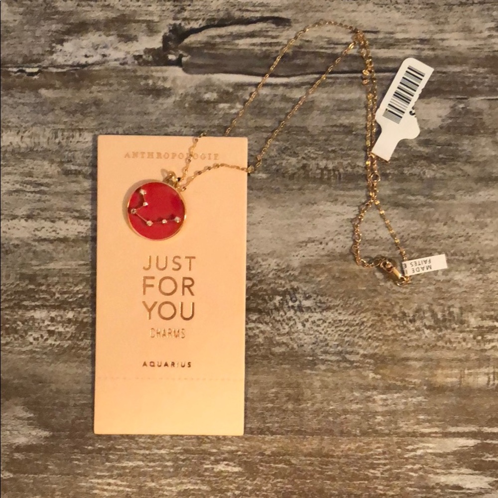 Anthropology Aquarius necklace